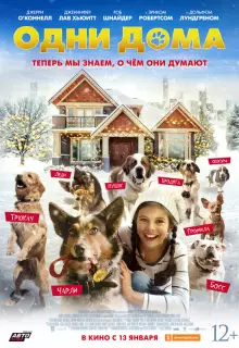 Одни дома 