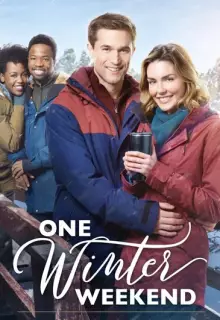 Одни зимние выходные