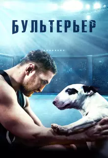Бультерьер