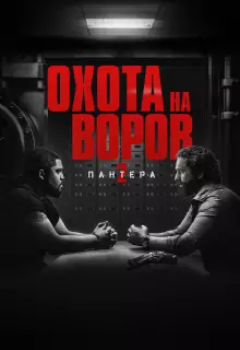 Охота на воров 2: Пантера