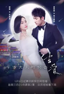 Узелок любви: Первая любовь Его Превосходительства (2018)