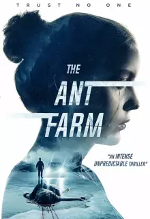 Муравьиная ферма