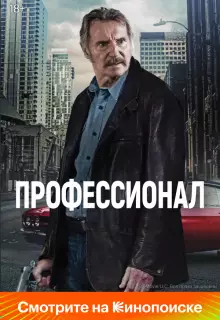 Профессионал