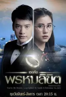 Обречён любить тебя (2017)