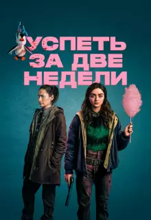 Успеть за две недели (2020)