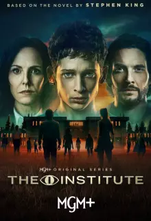 Институт (2025)