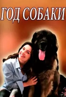 Год собаки (2018)