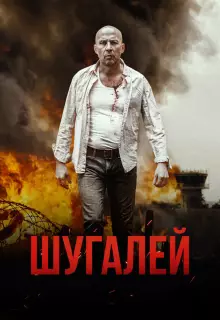 Шугалей