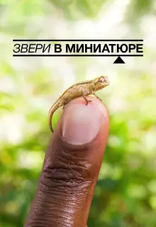 Звери в миниатюре