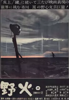 Полевые огни	