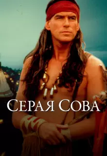 Серая сова