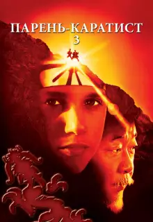 Парень-каратист 3