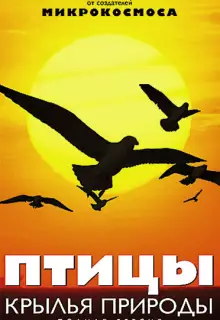 Птицы: Крылья природы (2002)