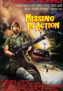 Без вести пропавшие