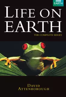 Жизнь на Земле (1979)