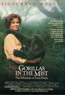 Гориллы в тумане