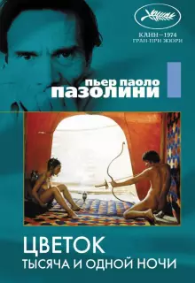 Цветок тысяча и одной ночи