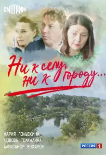 Ни к селу, ни к городу (2020)