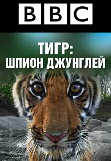 BBC: Тигр — Шпион джунглей (2008)