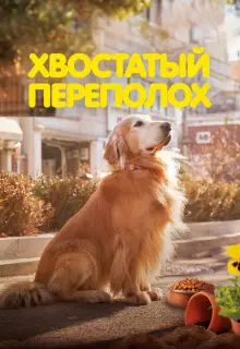 Хвостатый переполох