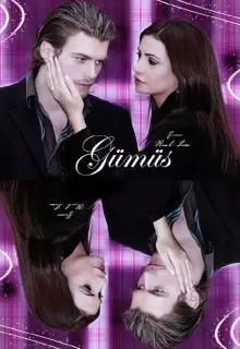 Серебро (2005)