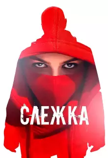Слежка