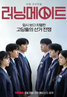 Напарник на выборах (2025)