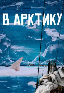 В Арктику