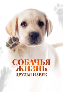 Собачья жизнь: Друзья навек