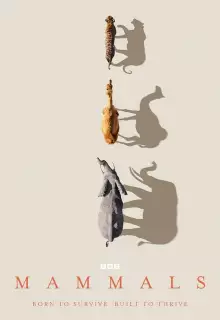 Млекопитающие (2024)