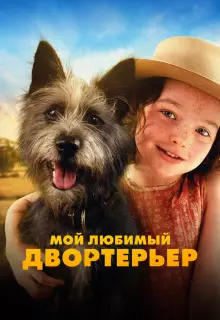Мой любимый двортерьер