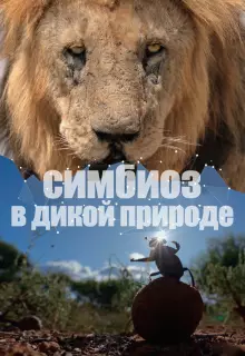 Симбиоз в дикой природе (2023)