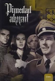 Темные окна