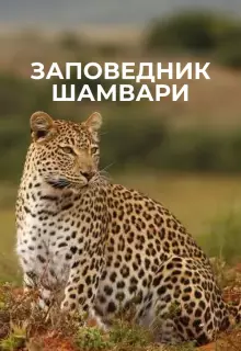 Заповедник Шамвари (2018)