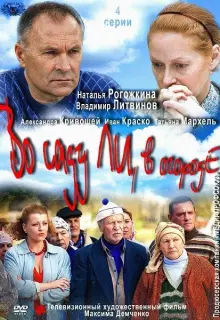 Во саду ли, в огороде (2012)