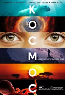 Космос: Пространство и время (2014)