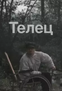 Телец
