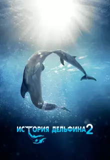 История дельфина 2