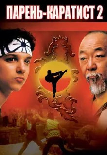Парень-каратист 2
