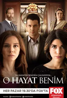 Это моя жизнь (2014)