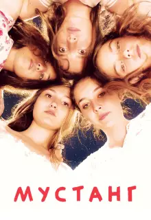 Мустанг