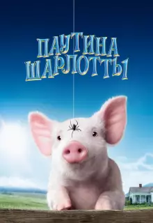 Паутина Шарлотты