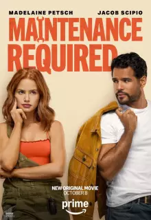 Требуется ремонт (2025)