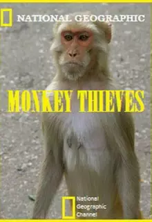 Обезьяны-воришки (2008)