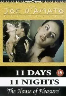 Дом удовольствия