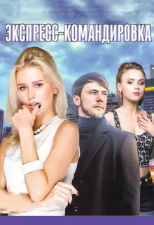 Экспресс-командировка (2016)